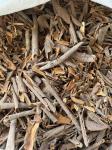 Cinnamon bark